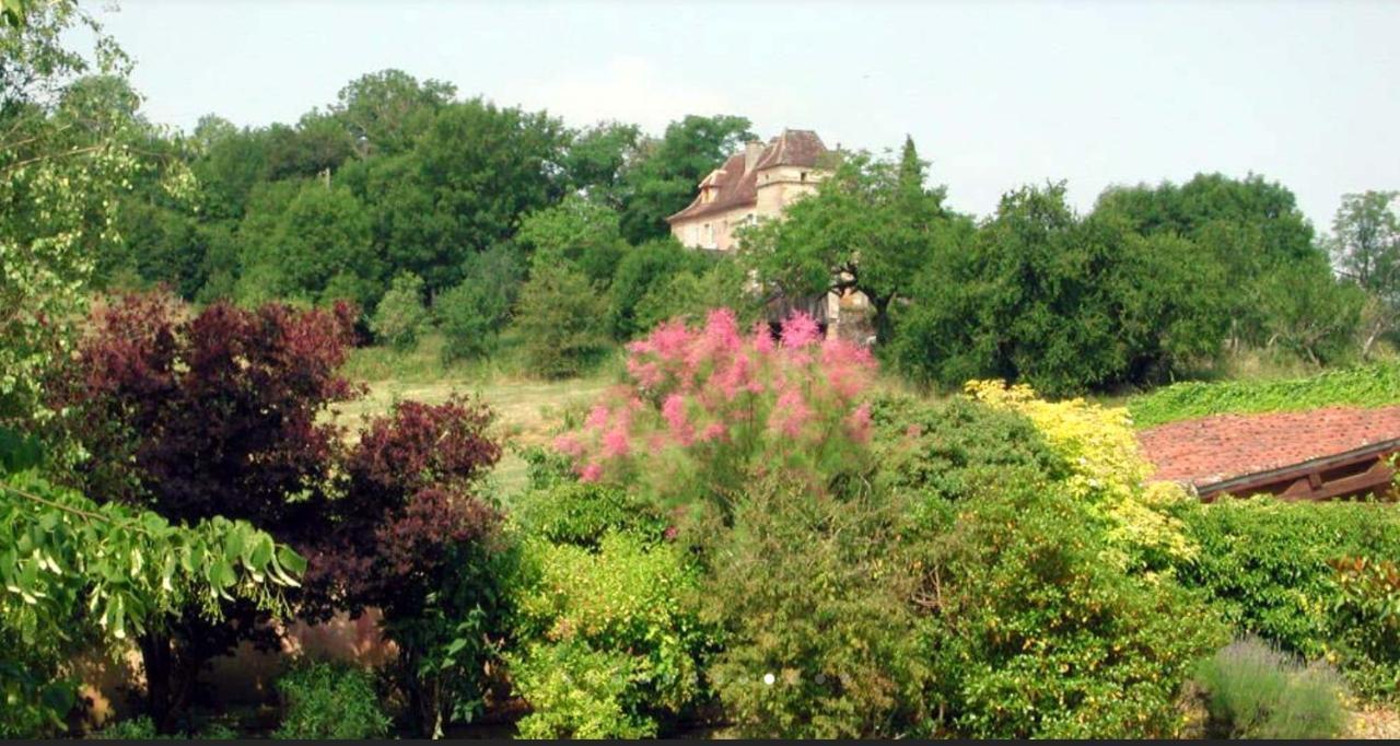 Chateau De Beduer And Vacation Homes Exteriör bild